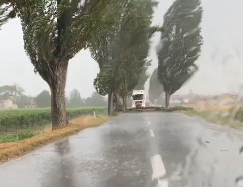 Immagine per Raffica di maltempo, rami caduti in autostrada tra Villesse e Lisert